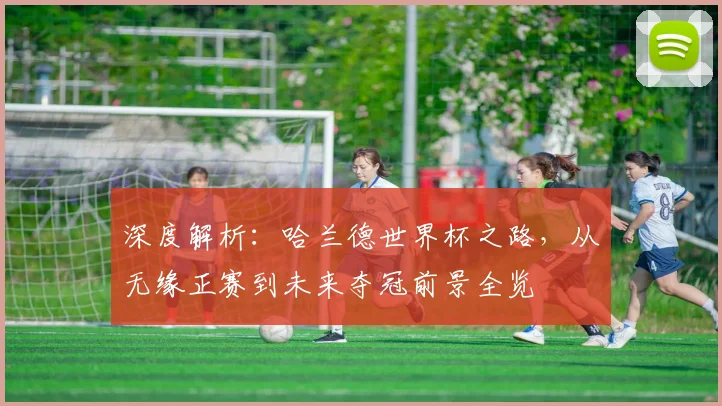 深度解析:哈兰德世界杯之路,从无缘正赛到未来夺冠前景全览